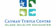 Cayman Turtle Center