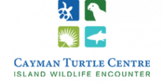Cayman Turtle Center